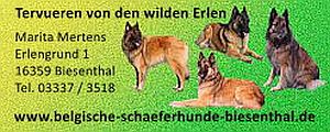 Homepage von den wilden Erlen